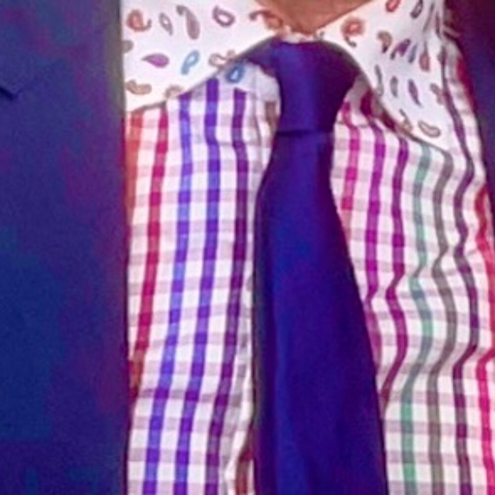 Etro gingham dress shirt with contrasting paisley. Only worn once.